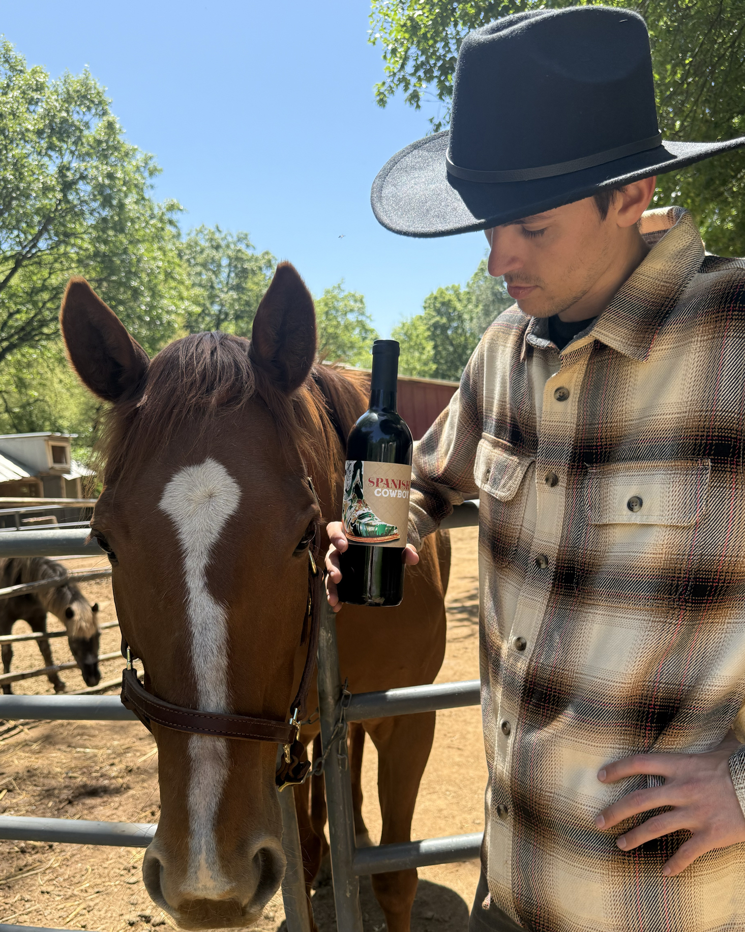 Bottle of Spanish Cowboy with a horse