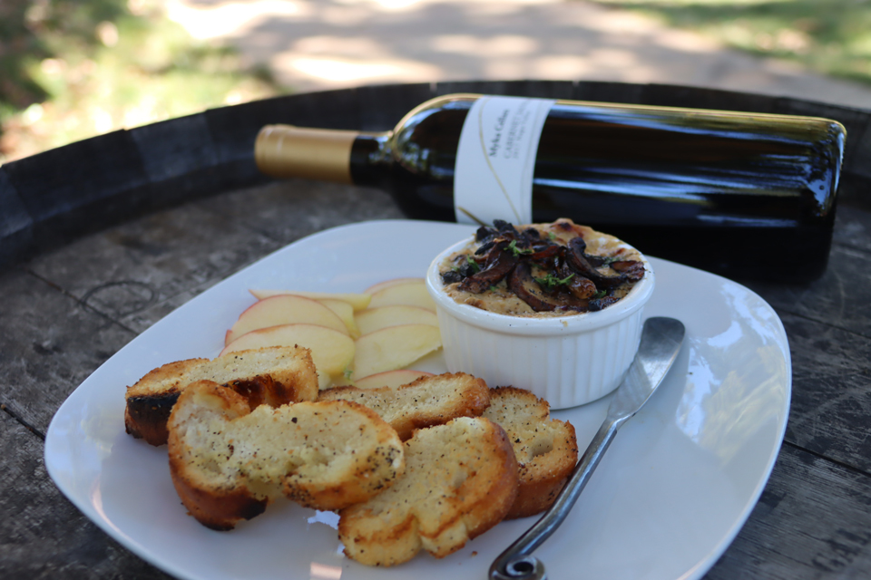 Warm French onion dip with bottle of Cabernet Sauvignon