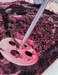 Winemaking punchdowns during fermentation