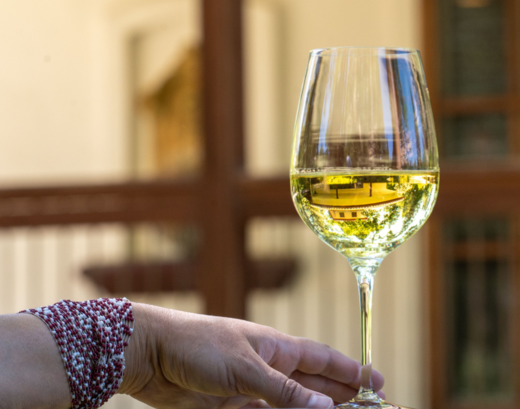 Myka Cellars Sauvignon Blanc wine in a glass
