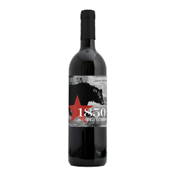 2020 Zinfandel