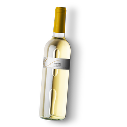 2019 Fumé Blanc
